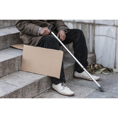 Трости нерегулируемые