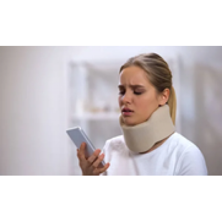 Головодержатели