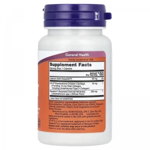 Колаген II типу, для здоров'я суглобів, Now Foods Collagen UC-II (60 капсул) Колаген II типу, для здоров'я суглобів, Now Foods Collagen UC-II (60 капсул)