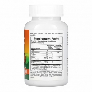 Вітамін С для дітей Natures Plus Animal Parade Vitamin C Children's Chewables (90 жувальних таблеток)