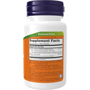 Гінкго Білоба для мозкової діяльності Now Foods Ginkgo Biloba 120 mg 50 капсул Гінкго Білоба для мозкової діяльності Now Foods Ginkgo Biloba 120 mg 50 капсул